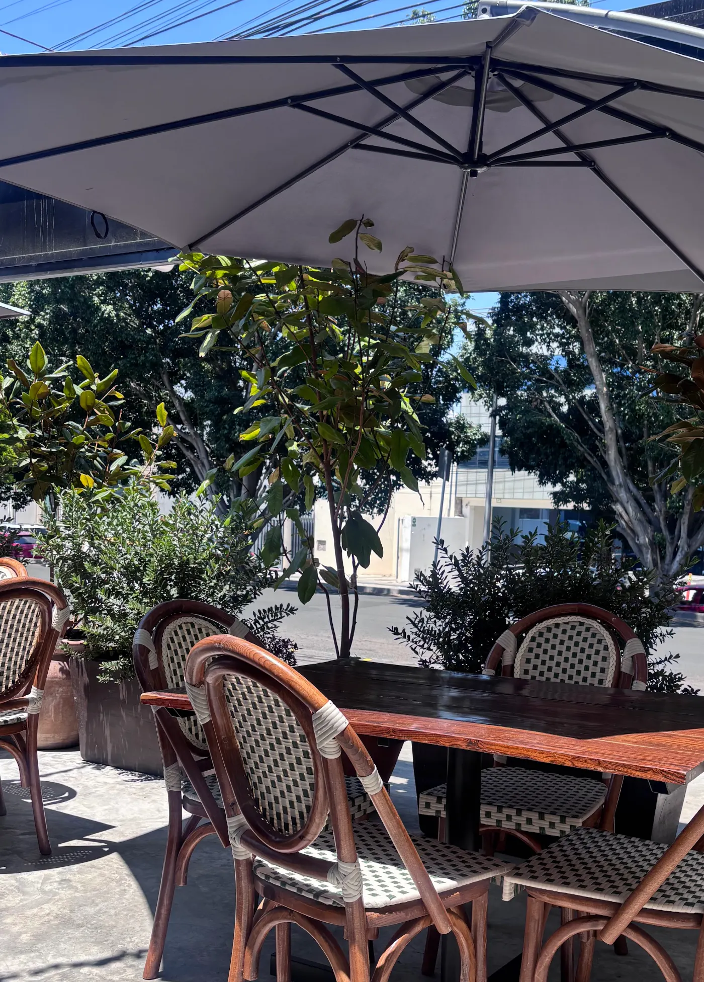 La terraza de Querena bajo una sombrilla blanca: mesa de madera, sillas de bejuco y los árboles del boulevard detrás.