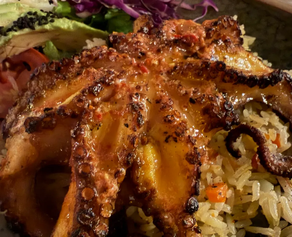 Pulpo a las brasas sobre arroz blanco, con ensalada de col morada al costado.